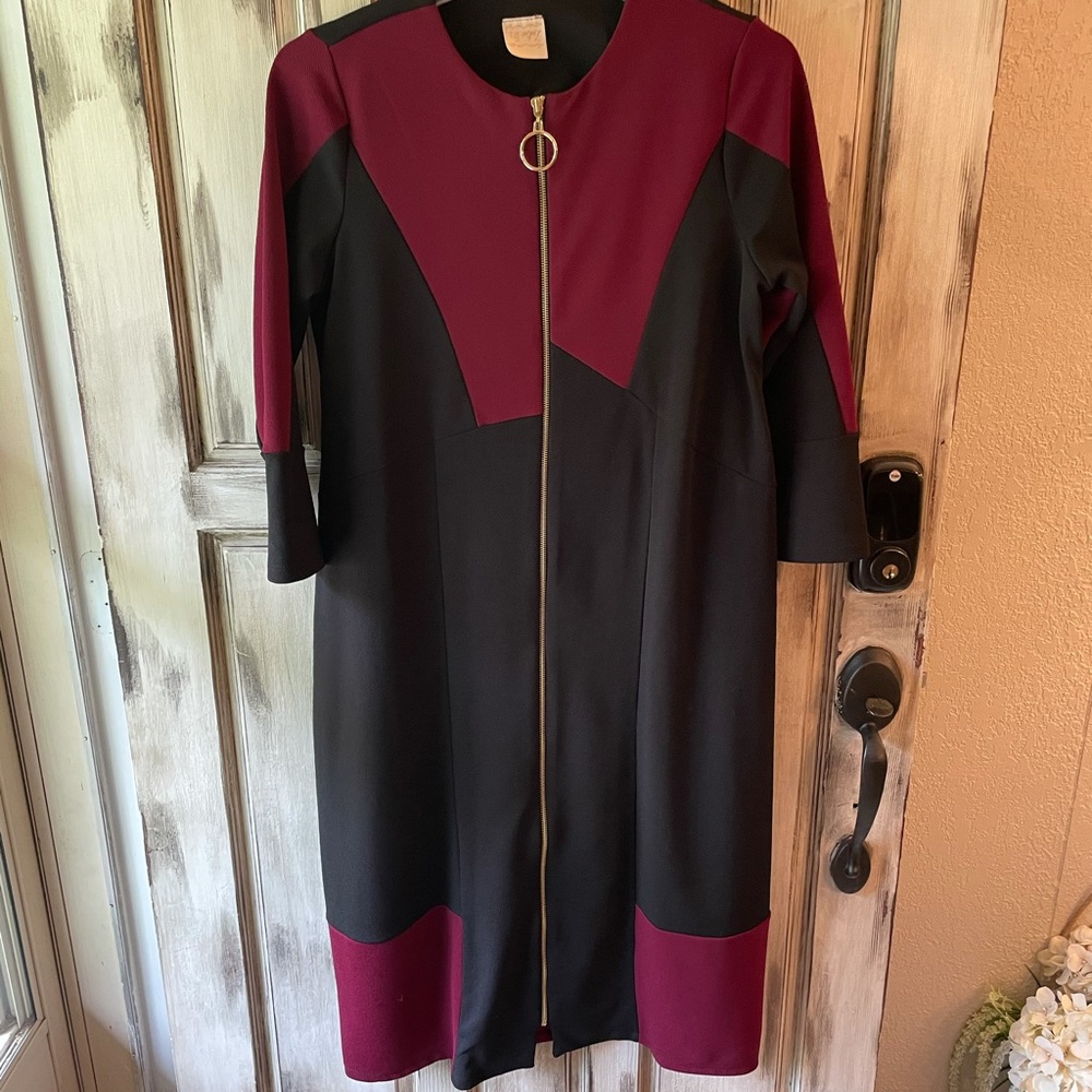 Zadie B’s Zipper Dress. Sz L